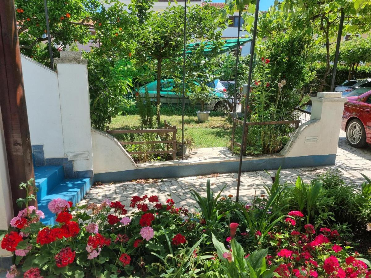 Apartments Palaziol Ровінь Екстер'єр фото