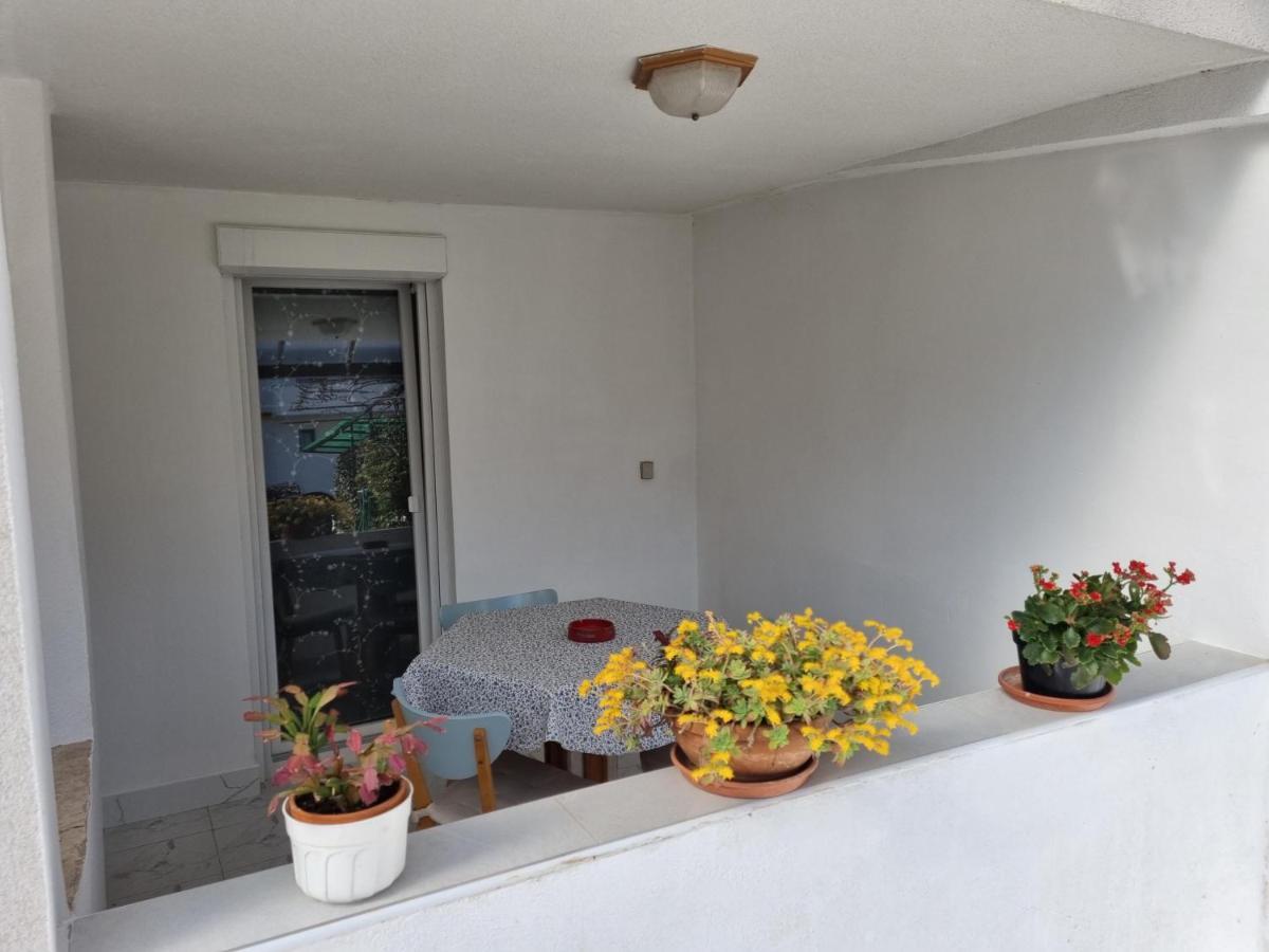 Apartments Palaziol Ровінь Екстер'єр фото
